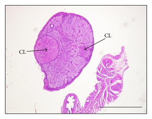Details are in the caption following the image