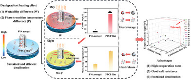 Solar Evaporator with Dual Gradient Heating Effect for Sustained and Efficient Desalination