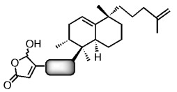 Naturstoffe sind biologisch validierte Startpunkte im Strukturraum zur Entwicklung von Substanzbibliotheken: Festphasensynthese von Analoga des Protein-Phosphatase-Inhibitors Dysidiolid
