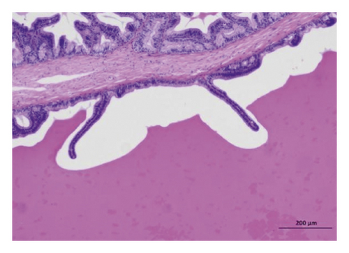 Details are in the caption following the image