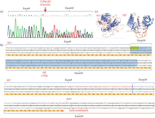 Details are in the caption following the image Details are in the caption following the image