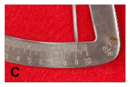 Details are in the caption following the image