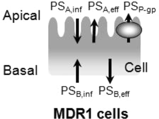 Details are in the caption following the image