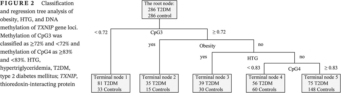 TXNIP hypomethylation and its interaction with obesity and hypertriglyceridemia increase type 2 diabetes mellitus risk: A nested case-control study TXNIP低甲基化及其与肥胖和高甘油三酯血症的交互作用可增加2型糖尿病的风险:巢式病例对照研究