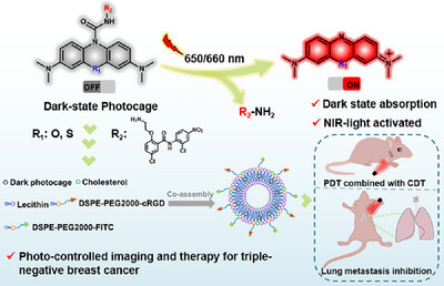 Unveiling the Power of Dark State Photocages: An Efficient Pathway to Triplet State Under Near-Infrared Light Irradiation