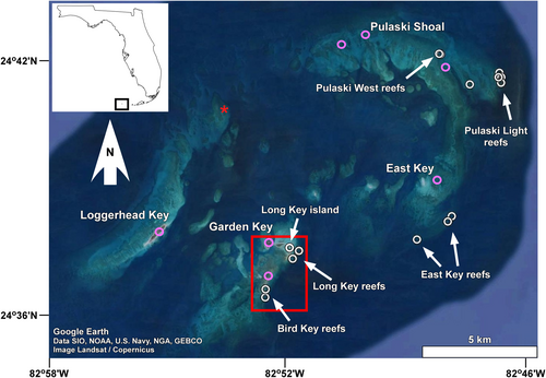 Details are in the caption following the image