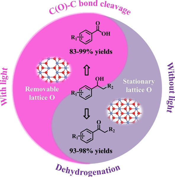 Visible Light-Switchable Lattice Oxygen Sites for Selective C−H and C(O)−C Bond Electrooxidation