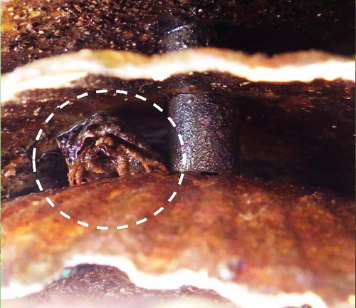 Details are in the caption following the image Details are in the caption following the image