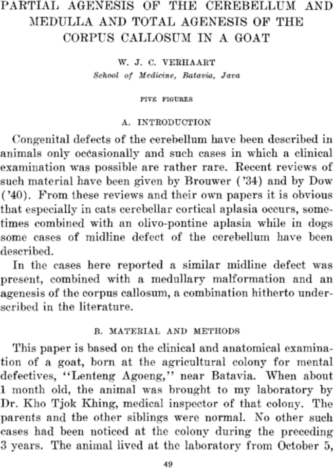 First page image