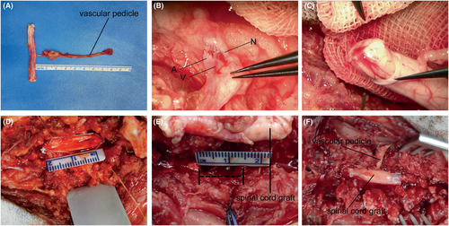 Details are in the caption following the image Details are in the caption following the image