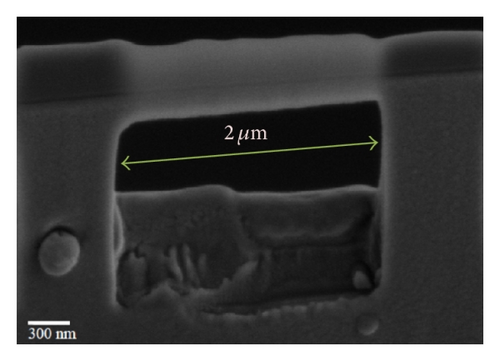 Details are in the caption following the image