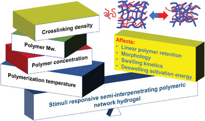 Design Rationale for Stimuli-Responsive, Semi-interpenetrating Polymer Network Hydrogels–A Quantitative Approach