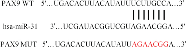 Details are in the caption following the image