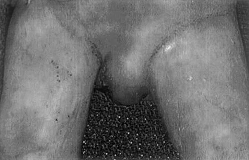 Details are in the caption following the image