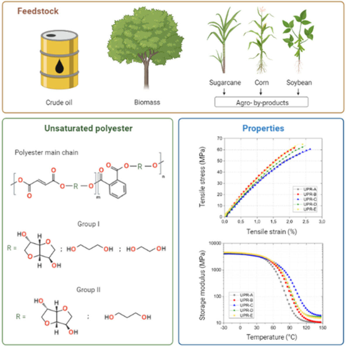 Development of high-performance partially biobased thermoset polyester using renewable building blocks from isosorbide, 1,3-propanediol, and fumaric acid