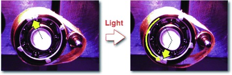 Photomobile Polymer Materials: Towards Light-Driven Plastic Motors