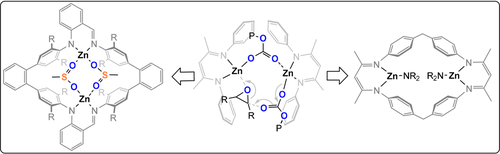 Details are in the caption following the image