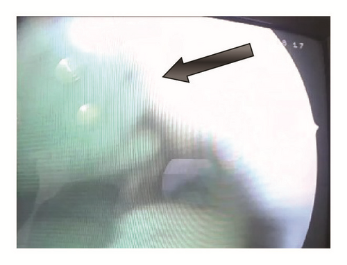 Details are in the caption following the image Details are in the caption following the image
