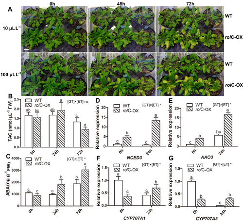 Details are in the caption following the image Details are in the caption following the image