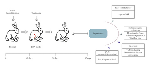 Details are in the caption following the image