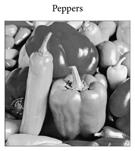 Details are in the caption following the image