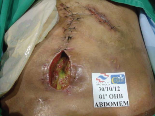 Details are in the caption following the image Details are in the caption following the image
