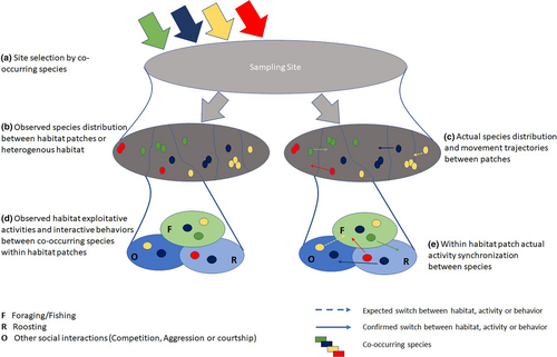 Details are in the caption following the image Details are in the caption following the image