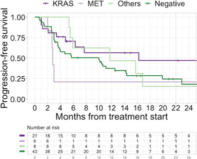 Efficacy of first-line immune checkpoint inhibitors in patients with advanced NSCLC with KRAS, MET, FGFR, RET, BRAF, and HER2 alterations