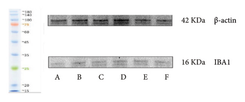 Details are in the caption following the image