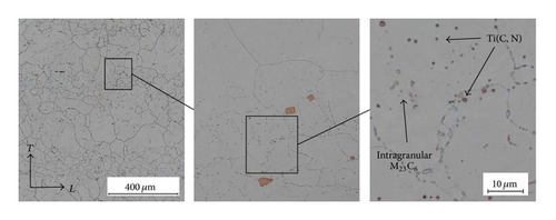 Details are in the caption following the image Details are in the caption following the image