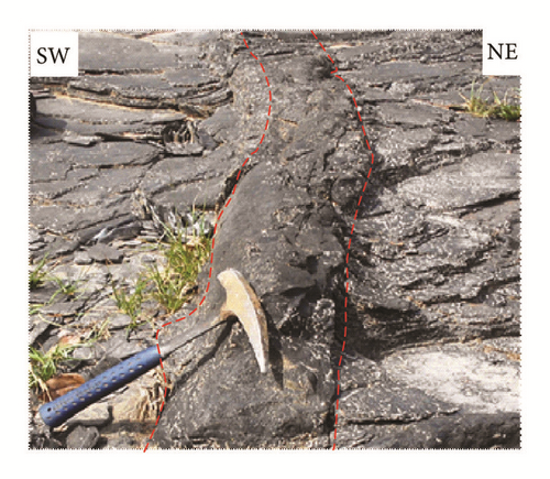 Details are in the caption following the image Details are in the caption following the image