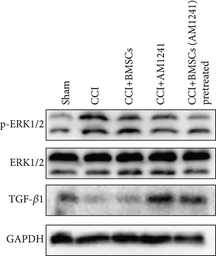 Details are in the caption following the image