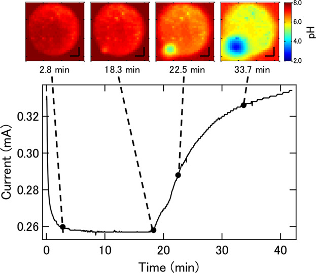 A Modified Chemical Imaging Sensor System for Real-Time pH Imaging of Accelerated Crevice Corrosion of Stainless Steel