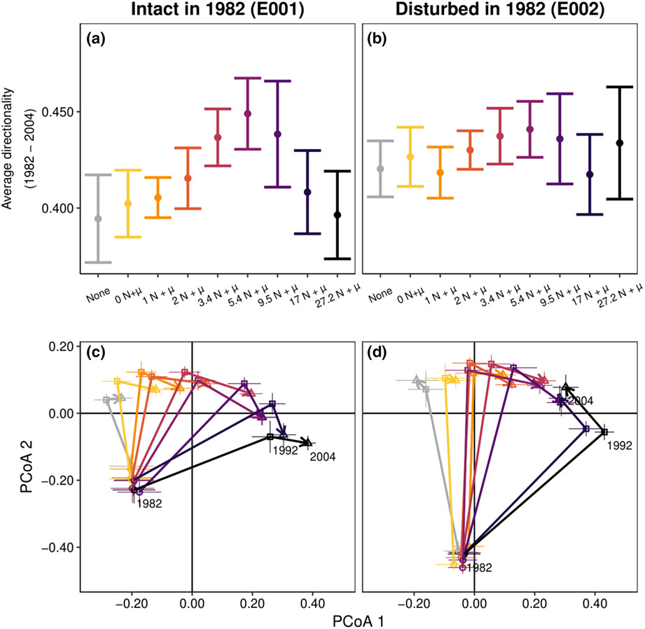 Disturbance alters transience but nutrients determine equilibria during grassland succession with multiple global change drivers