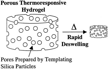 Thermoresponsive properties of porous poly(N-isopropylacrylamide) hydrogels prepared in the presence of nanosized silica particles and subsequent acid treatment