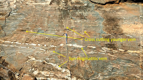 Details are in the caption following the image Details are in the caption following the image
