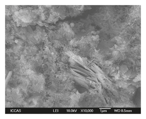 Details are in the caption following the image