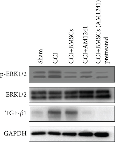 Details are in the caption following the image