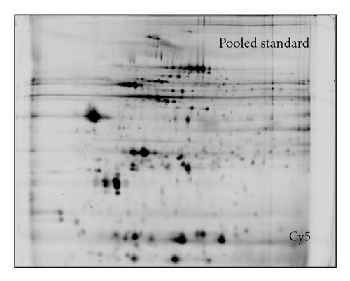 Details are in the caption following the image
