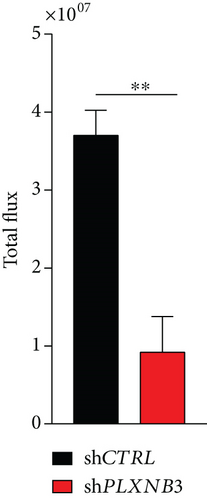 Details are in the caption following the image