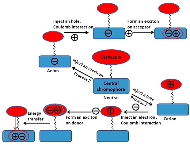 Theoretical Investigation on the Electron and Energy Transfer between Peripheral Carrier Transport Groups and Central Chromophores in Electroluminescent Materials