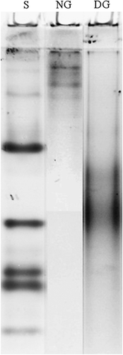 Details are in the caption following the image