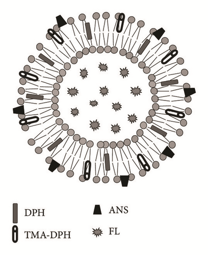 Details are in the caption following the image