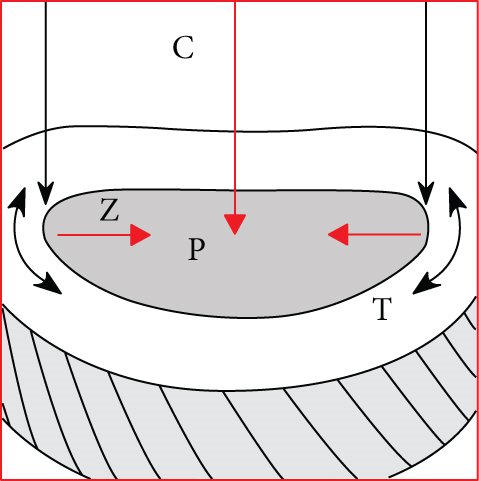 Details are in the caption following the image