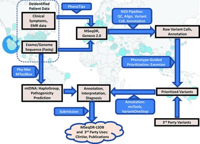 MSeqDR: A Centralized Knowledge Repository and Bioinformatics Web Resource to Facilitate Genomic Investigations in Mitochondrial Disease