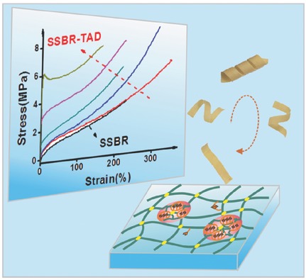 Bioinspired Design of a Robust Elastomer with Adaptive Recovery via Triazolinedione Click Chemistry