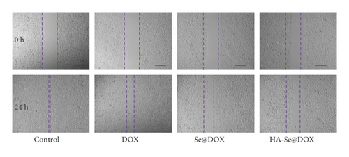 Details are in the caption following the image