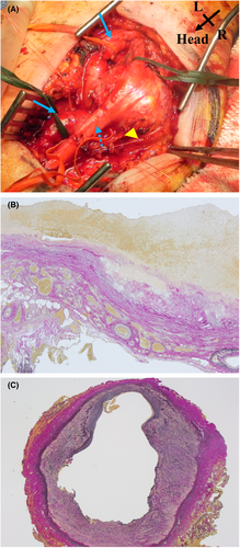 Details are in the caption following the image Details are in the caption following the image
