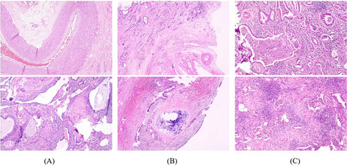 Details are in the caption following the image Details are in the caption following the image
