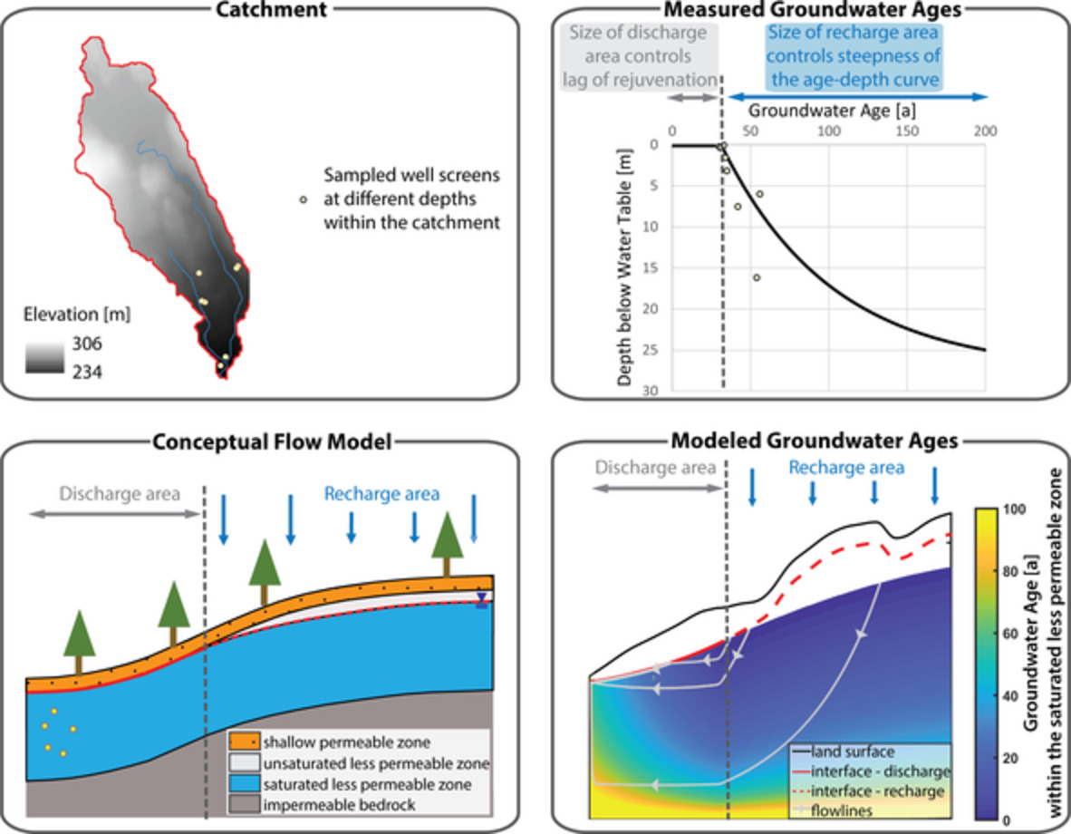 Lagged rejuvenation of groundwater indicates internal flow structures and hydrological connectivity